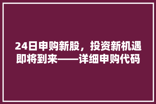 24日申购新股，投资新机遇即将到来——详细申购代码背后的投资价值