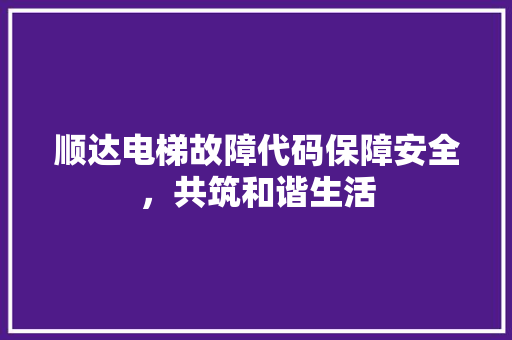 顺达电梯故障代码保障安全，共筑和谐生活