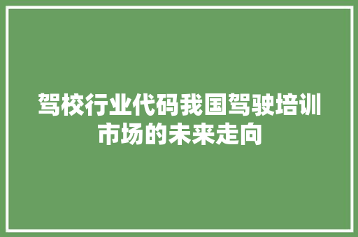 驾校行业代码我国驾驶培训市场的未来走向