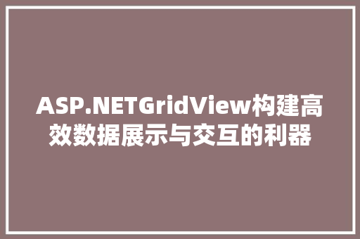 ASP.NETGridView构建高效数据展示与交互的利器