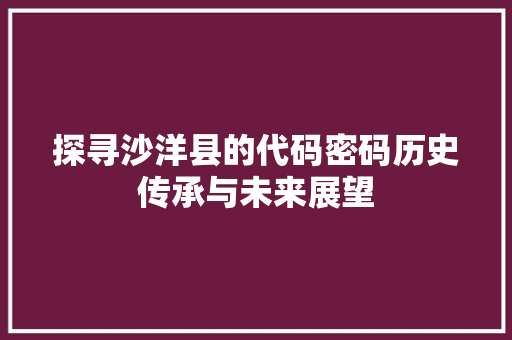 探寻沙洋县的代码密码历史传承与未来展望