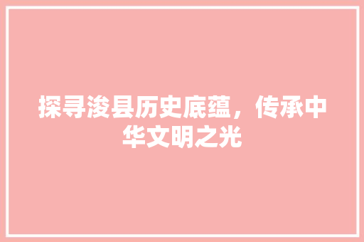 探寻浚县历史底蕴，传承中华文明之光