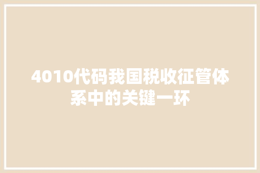 4010代码我国税收征管体系中的关键一环