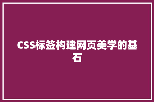 CSS标签构建网页美学的基石
