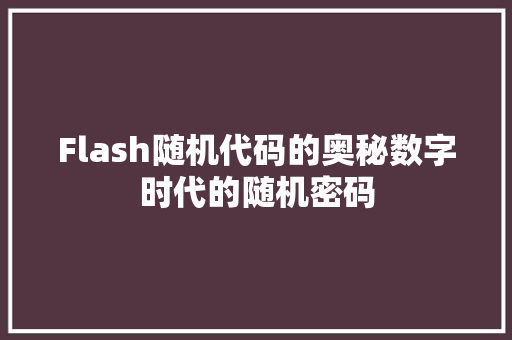 Flash随机代码的奥秘数字时代的随机密码