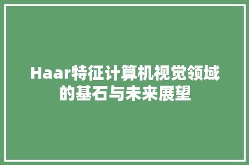 Haar特征计算机视觉领域的基石与未来展望