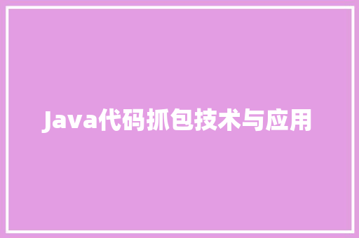 Java代码抓包技术与应用