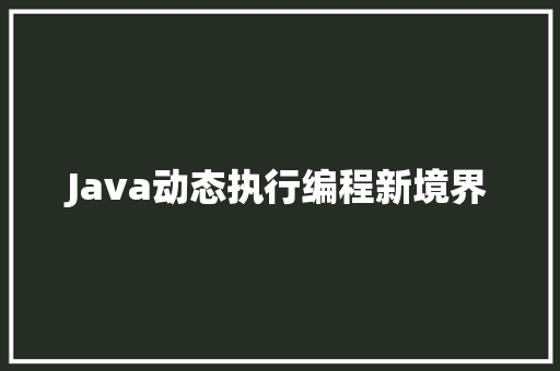 Java动态执行编程新境界