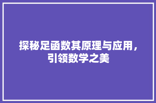 探秘足函数其原理与应用，引领数学之美