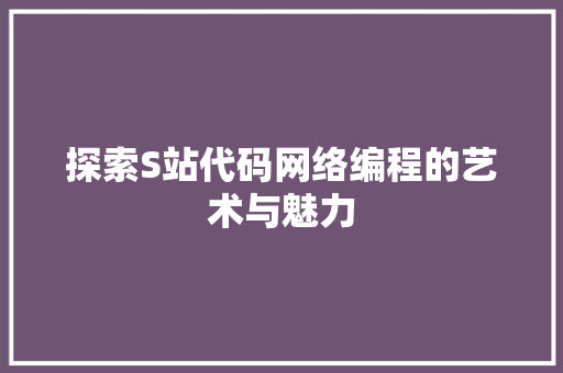 探索S站代码网络编程的艺术与魅力