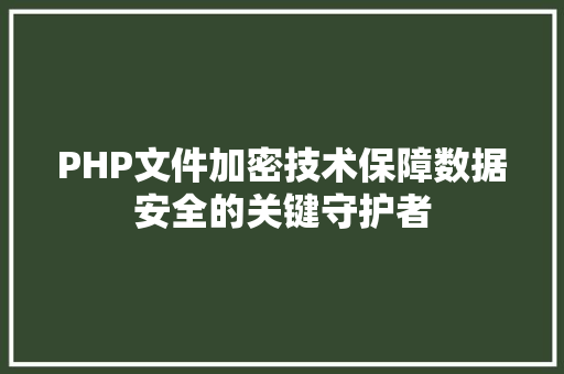 PHP文件加密技术保障数据安全的关键守护者