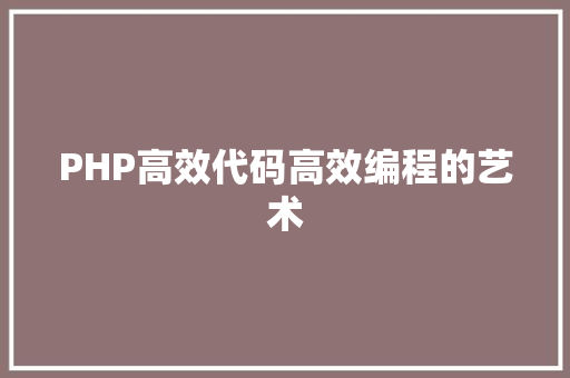 PHP高效代码高效编程的艺术