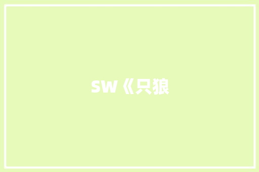 SW《只狼