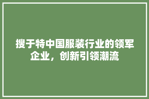 搜于特中国服装行业的领军企业，创新引领潮流