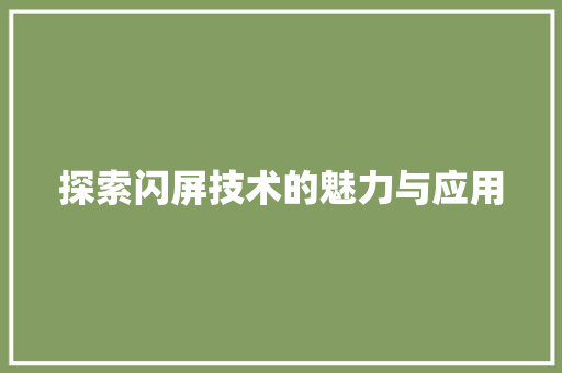 探索闪屏技术的魅力与应用