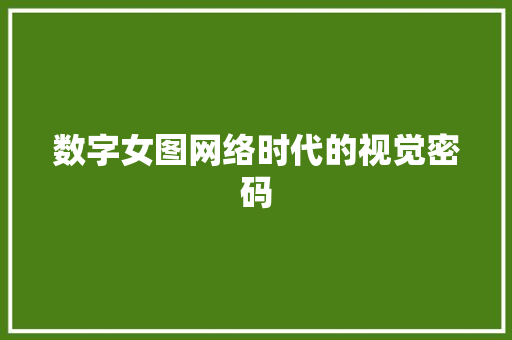 数字女图网络时代的视觉密码