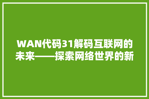 WAN代码31解码互联网的未来——探索网络世界的新篇章