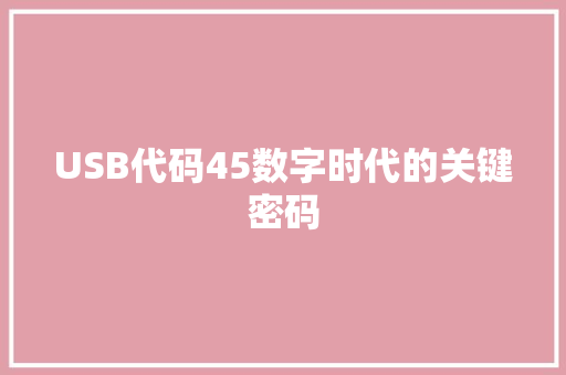 USB代码45数字时代的关键密码
