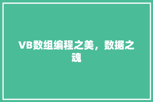 VB数组编程之美，数据之魂