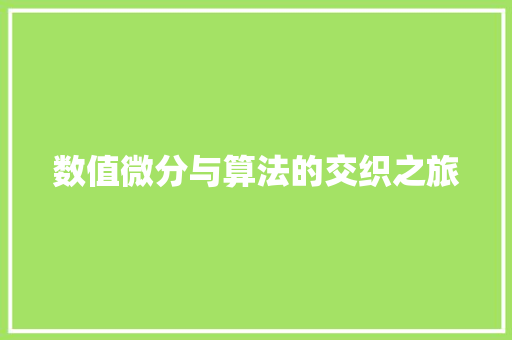 数值微分与算法的交织之旅