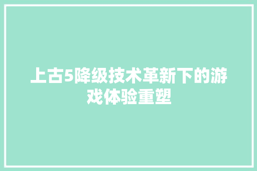 上古5降级技术革新下的游戏体验重塑
