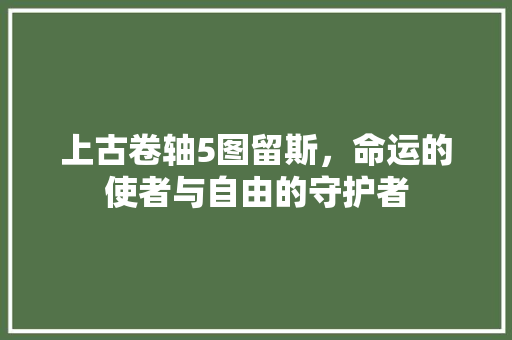 上古卷轴5图留斯，命运的使者与自由的守护者