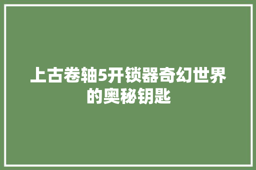 上古卷轴5开锁器奇幻世界的奥秘钥匙