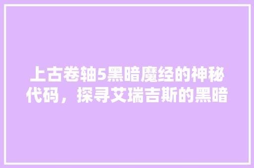 上古卷轴5黑暗魔经的神秘代码，探寻艾瑞吉斯的黑暗力量