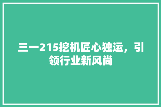 三一215挖机匠心独运，引领行业新风尚