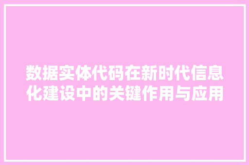 数据实体代码在新时代信息化建设中的关键作用与应用前景