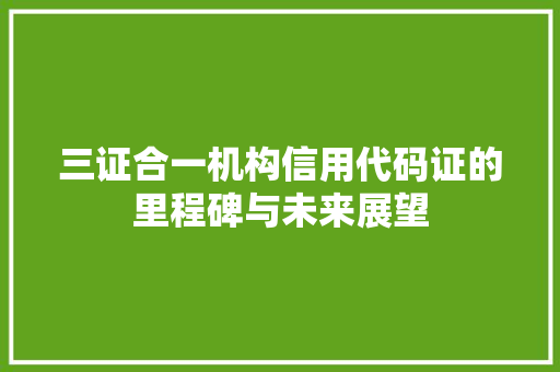 三证合一机构信用代码证的里程碑与未来展望