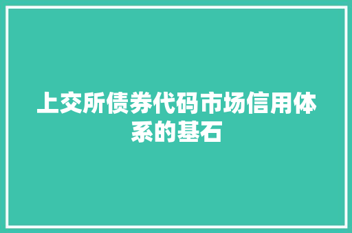 上交所债券代码市场信用体系的基石
