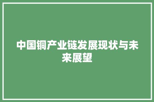 中国铜产业链发展现状与未来展望