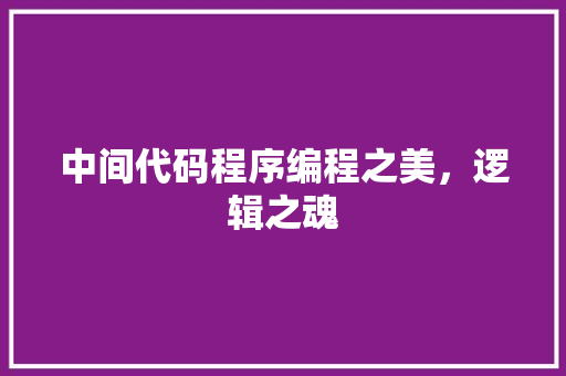 中间代码程序编程之美，逻辑之魂