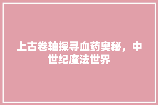 上古卷轴探寻血药奥秘，中世纪魔法世界