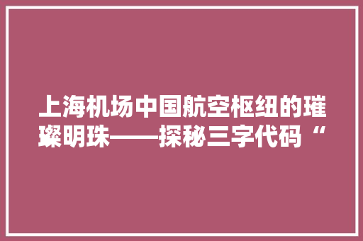 上海机场中国航空枢纽的璀璨明珠——探秘三字代码“PVG”