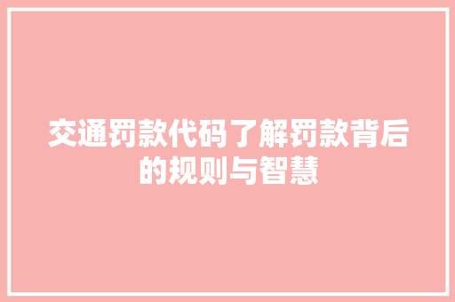 交通罚款代码了解罚款背后的规则与智慧