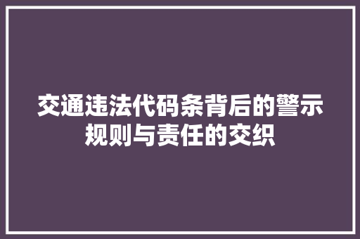 交通违法代码条背后的警示规则与责任的交织