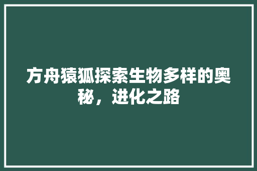 方舟猿狐探索生物多样的奥秘，进化之路