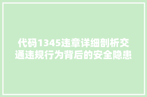 代码1345违章详细剖析交通违规行为背后的安全隐患