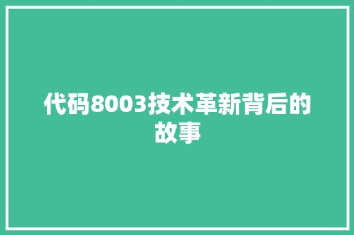 代码8003技术革新背后的故事