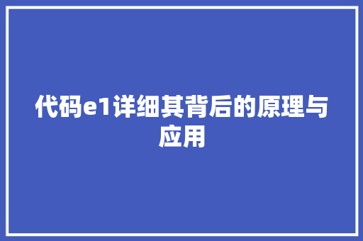 代码e1详细其背后的原理与应用