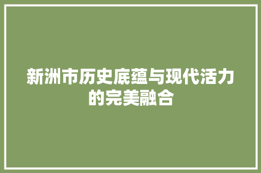 新洲市历史底蕴与现代活力的完美融合