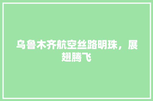 乌鲁木齐航空丝路明珠，展翅腾飞