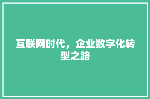 互联网时代，企业数字化转型之路
