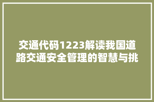 交通代码1223解读我国道路交通安全管理的智慧与挑战