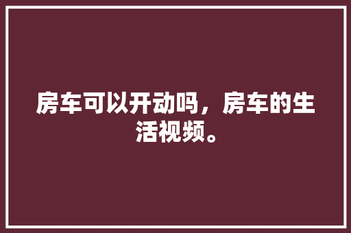 2亿代码背后的故事大型软件项目的开发历程