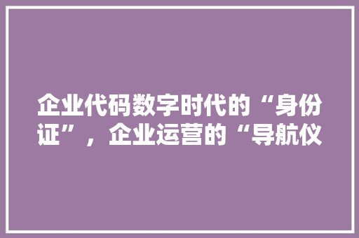 企业代码数字时代的“身份证”，企业运营的“导航仪”