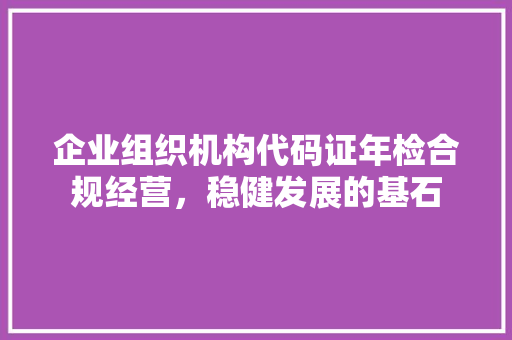企业组织机构代码证年检合规经营，稳健发展的基石