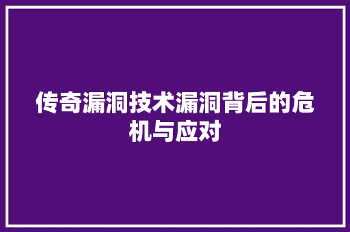 传奇漏洞技术漏洞背后的危机与应对